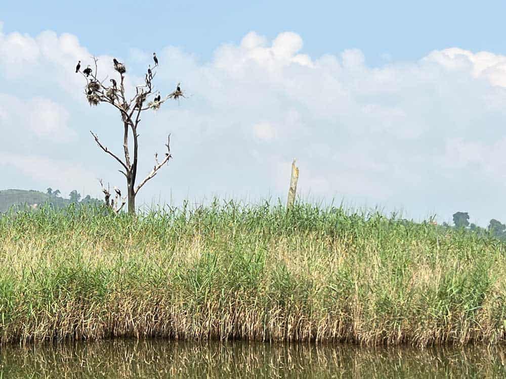 Lake Bunyonyi Travel Guide